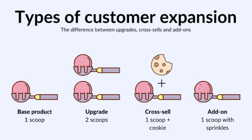 Types of Customer Expansion