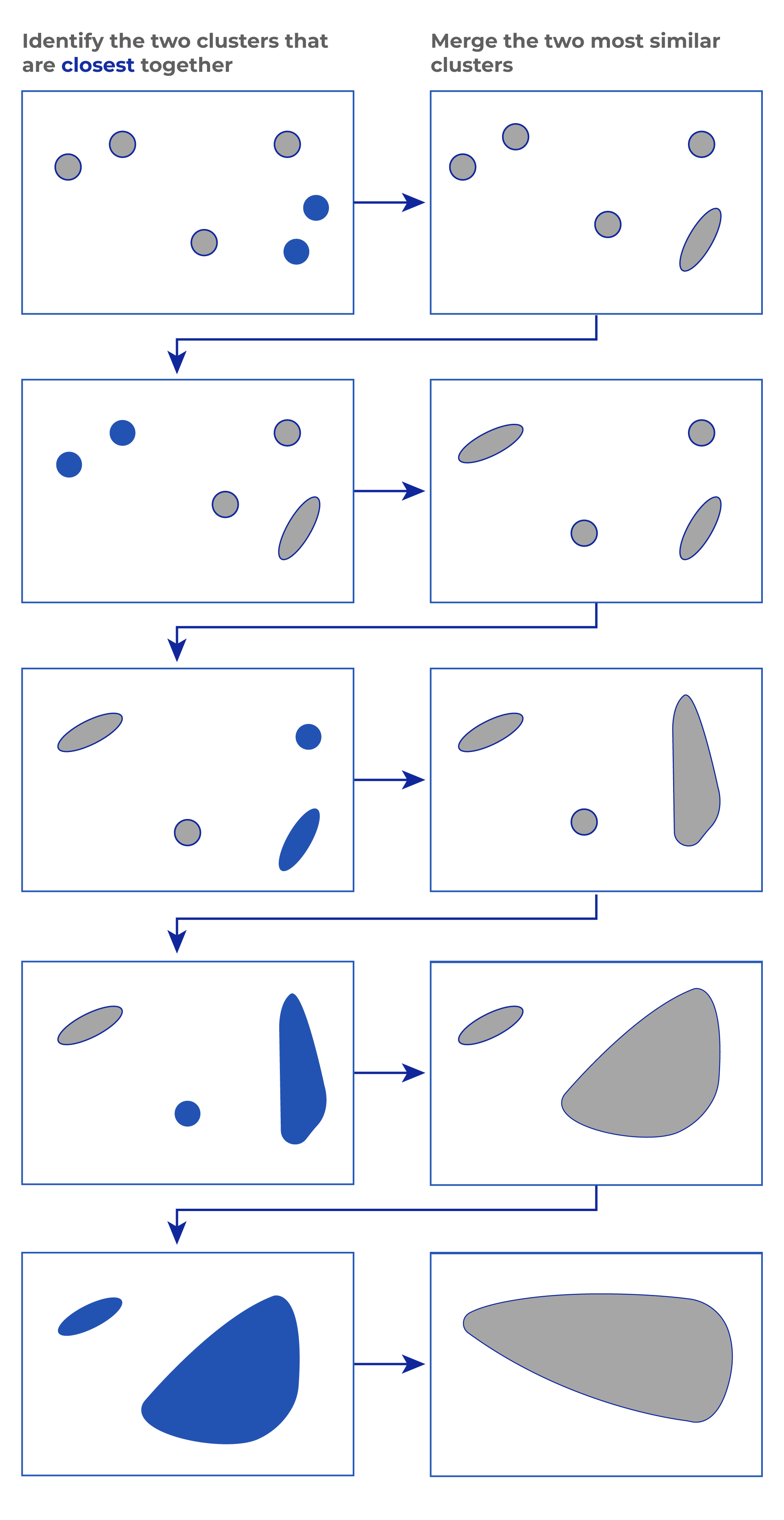 Understanding Hierarchical Clustering & Its Use Cases